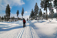 Langlauf am Nationalpark Bayerischer Wald